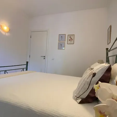 Green Paradise T2 With Pool Rooftop * Albufeira