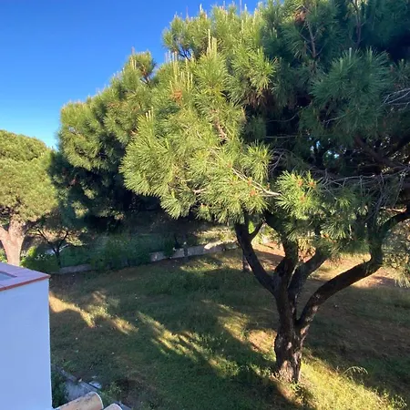 Appartement Green Paradise T2 With Pool Rooftop