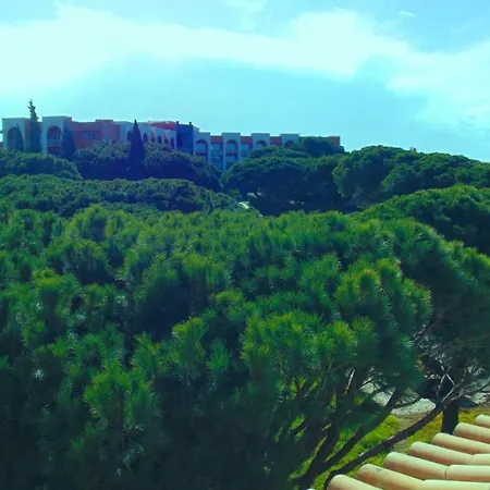 Green Paradise T2 With Pool Rooftop Albufeira