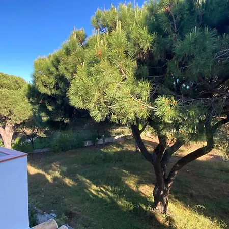 Apartmán Green Paradise T2 With Pool Rooftop